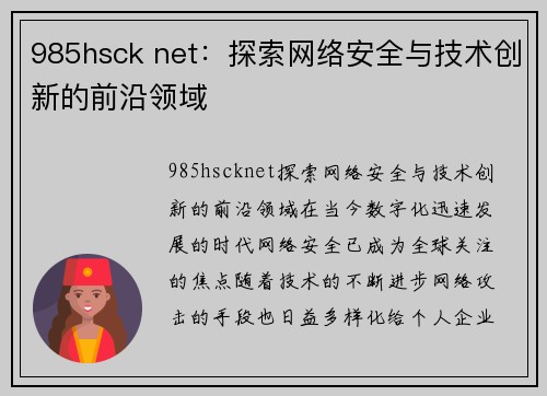 985hsck net：探索网络安全与技术创新的前沿领域